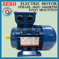ELECTRIC MOTOR 1.1KW 1.5HP 2P 3000RPM 3PHASE 802-2 B3 AERO