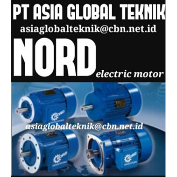 ELECTRIC MOTOR NORD