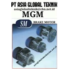 Gear Motor Electric MGM 2