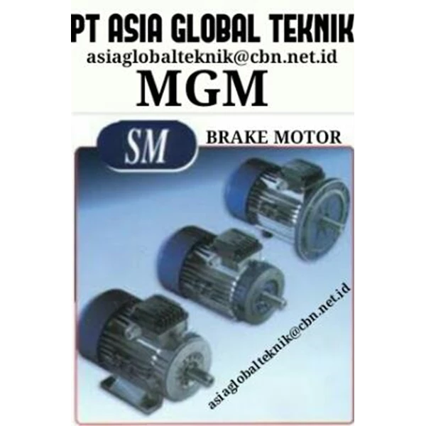 Gear Motor Elektrik MGM