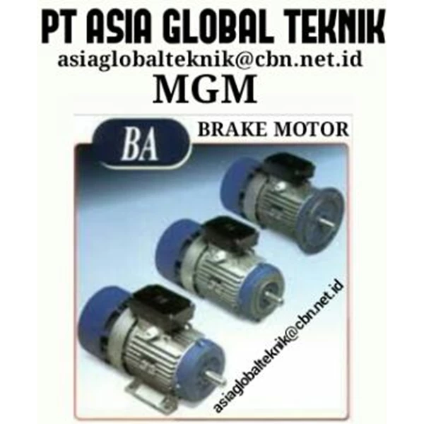 Gear Motor Electric MGM