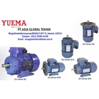 Electric Gear Motor YUEMA SA Series B3