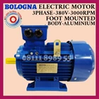 BOLOGNA MOTOR 0.37KW/0.5HP/2POLE/3PHASE/3000rpm FOOT MOUNTED B3 1