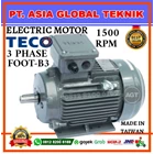 AESV1S 0.75KW/1HP-1PK 3PHASE/4POLE/B3 TECO ELECTRIC MOTOR 1