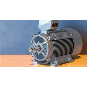Electric motor