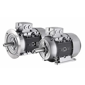 electric motor