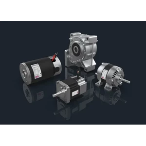 Electric motor